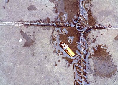 Cigarette butt, in wet