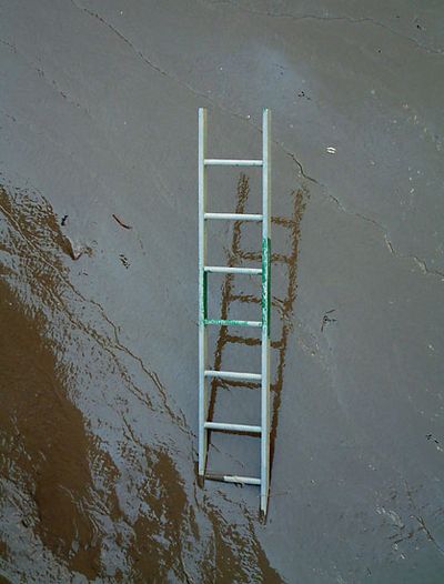 Ladder in Mud